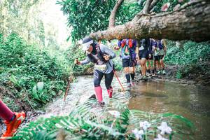 BIB: 
                            <button type="button" onclick="openModal(25475967)" class="btn btn-primary btn-sm float-right btn-popup" data-toggle="modal" data-target=".modal-high-quality">
                        <i class="fas fa-shopping-cart"></i> Add to Cart
                    </button>
                                            <button type="button" onclick="isThisMe(25475967, true)" class="btn btn-success btn-sm float-right btn-popup btn-isme hidden" data-toggle="tooltip" data-placement="bottom" title="นี่คือรูปของคุณใช่ไหม คลิกที่นี่เพื่อเอาเข้าอัลบั้ม">
                        <i class="fas fa-plus"></i> Add to album
                    </button>
                    <button type="button" onclick="isThisMe(25475967, false)" class="btn btn-warning btn-sm float-right btn-popup btn-isnotme hidden">
                        <i class="fas fa-ban"></i> Remove from album
                    </button>